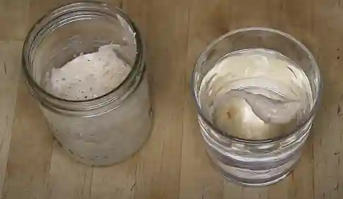 sourdough starter float test