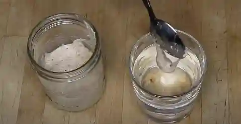 sourdough starter float test