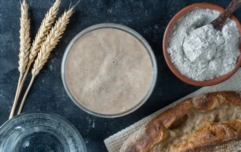 Factors that Affect the Lifespan of Sourdough Starter in the Fridge