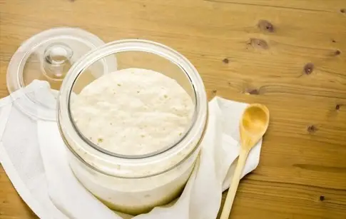 Understanding Sourdough Starters: The Dynamic Interplay of Yeast and Bacteria