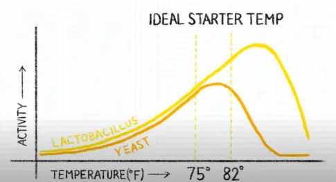 Optimal Fermentation Temperature