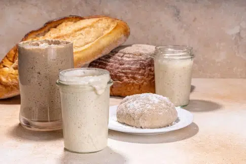 Understanding the Sourdough Starter Science