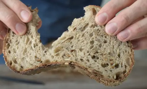 Seeded Whole Grain Sourdough