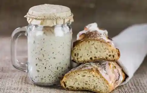 Sourdough Starter