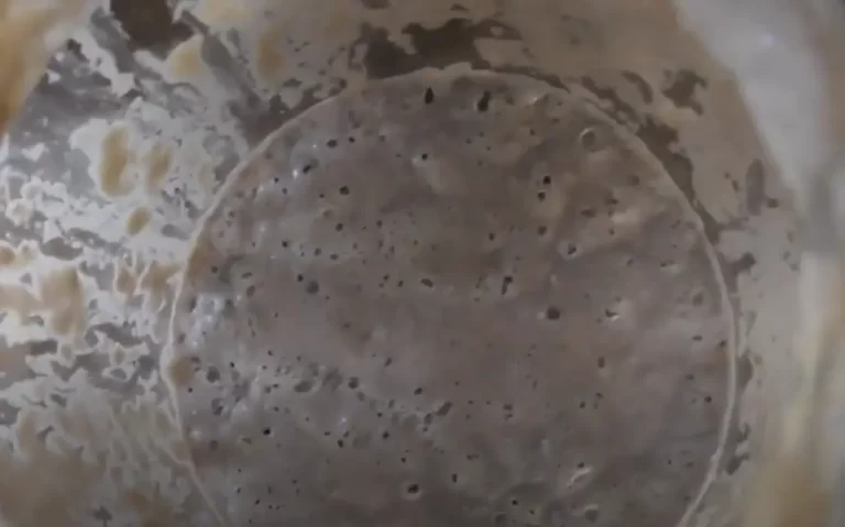 how do i know if my sourdough starter is dead