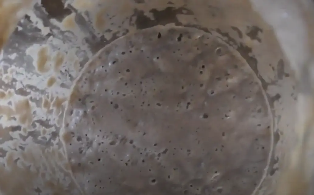 how do i know if my sourdough starter is dead