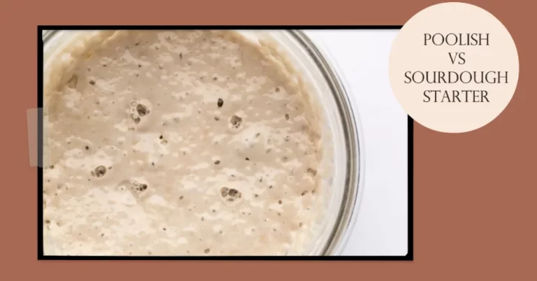 Poolish Vs Sourdough Starter