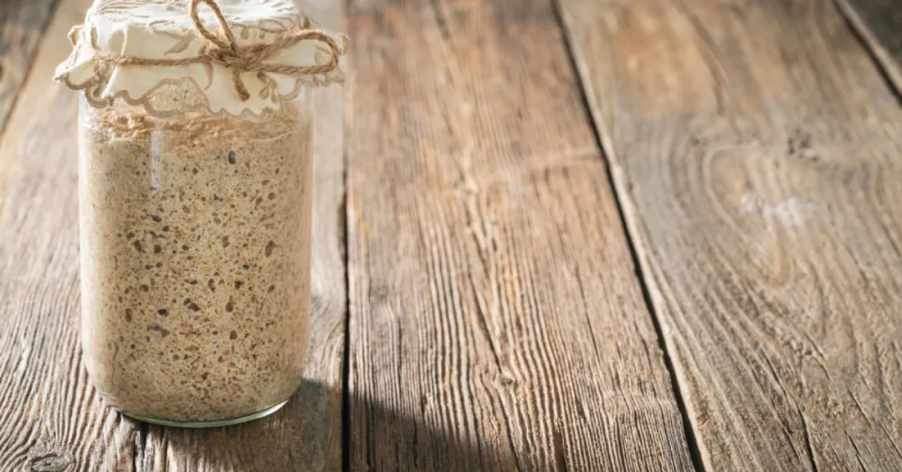 Is Old Sourdough Starter Better