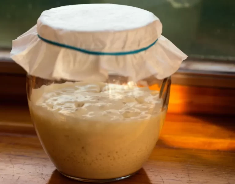 How To Keep Sourdough Starter Warm