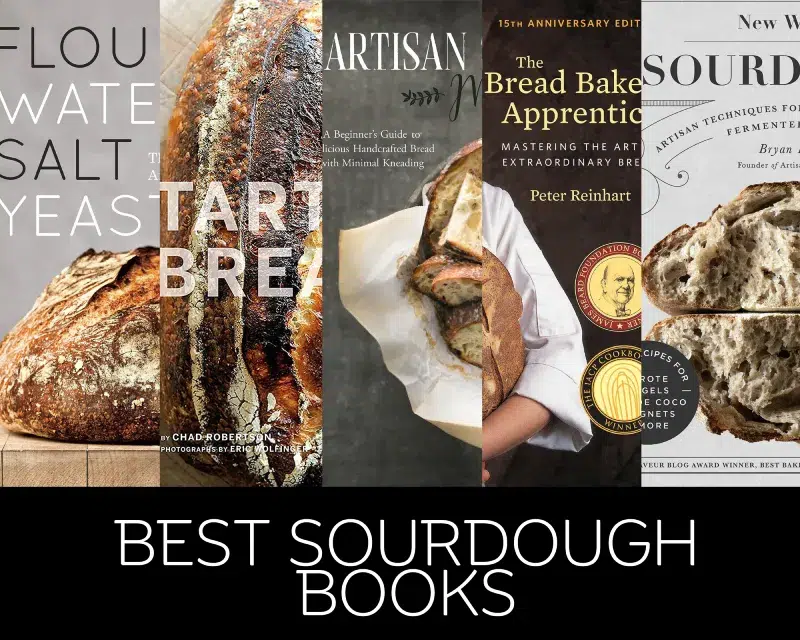 Best Sourdough Books