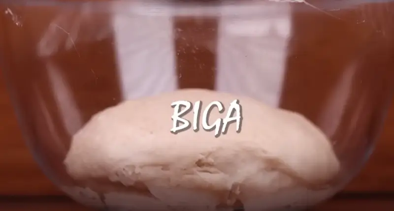 Biga