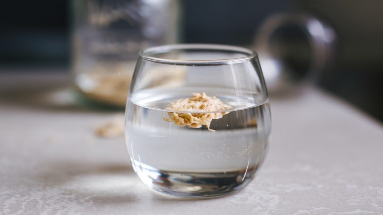 Sourdough Float Test: Your Guide to Starter Readiness