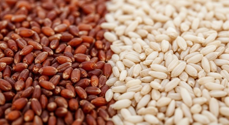red vs white wheat
