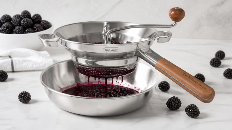 best food mill for removing blackberry seeds